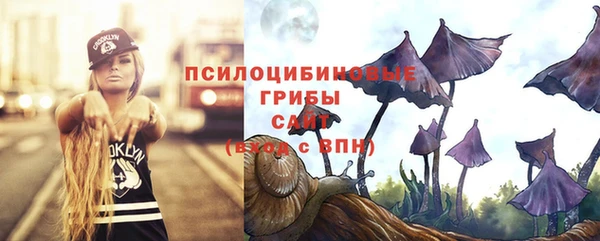 амфетамин Алексин